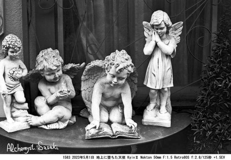 地上に堕ちた天使1583-20