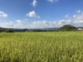 230916井手の山麓から京田辺、精華方面の眺望
