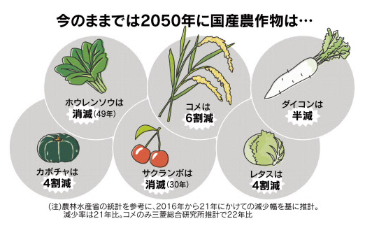 20230918主食はイモ国産野菜