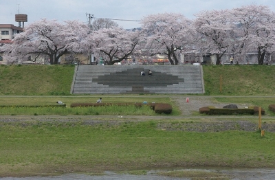 2010sakura0042.jpg