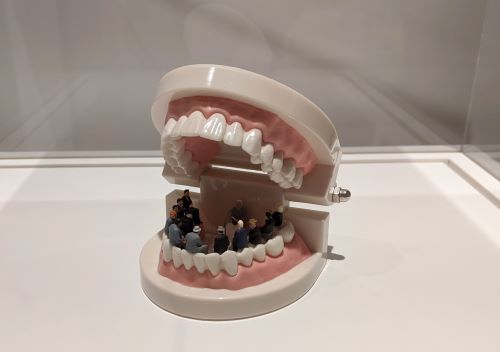 13入歯