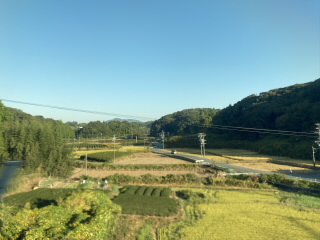 静岡県東海道新幹線茶畑