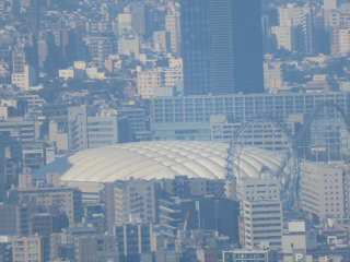 東京都東京ドーム巨人