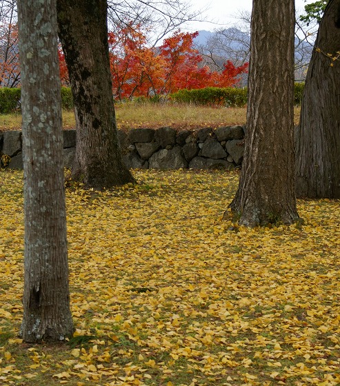 071129丹波篠山の紅葉と黄葉