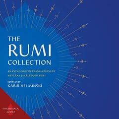 rumi (3) (1)