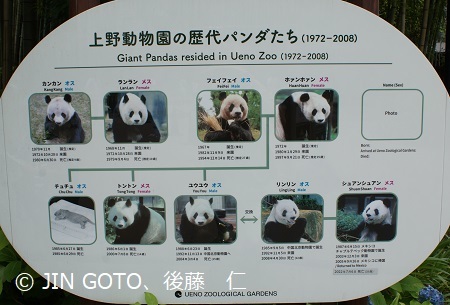 上野動物園2023.6.20
