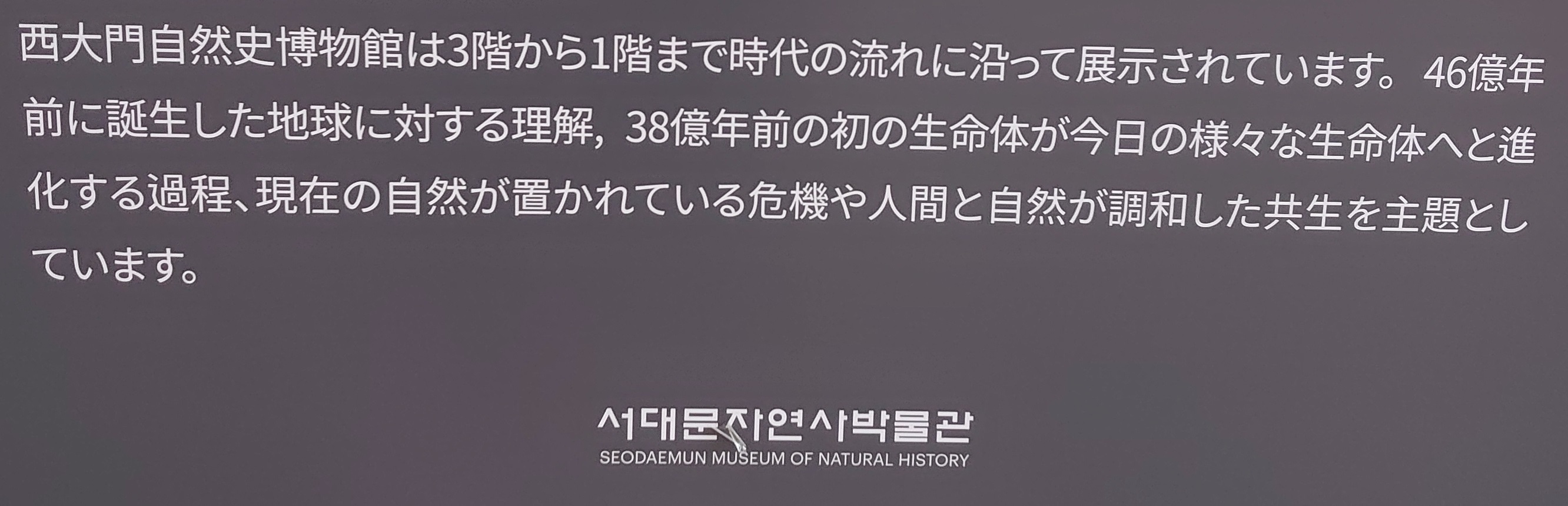 韓国,西大門自然史博物館 (26)