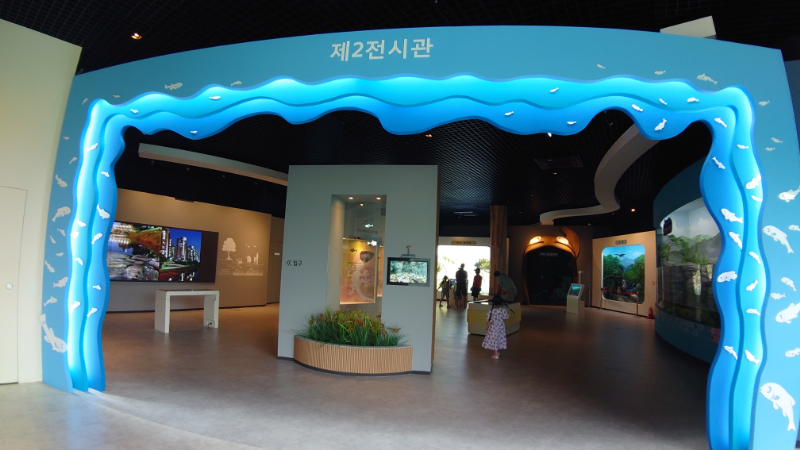 安養川生態イヤギ館,韓国,博物館 (22)