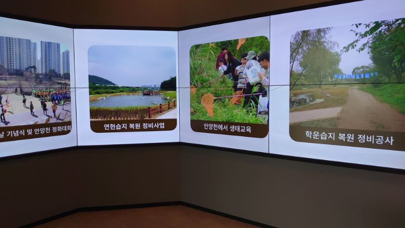 安養川生態イヤギ館,韓国,博物館 (24)