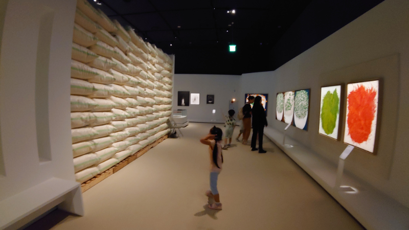 韓国,国立農業博物館,水原 (14)