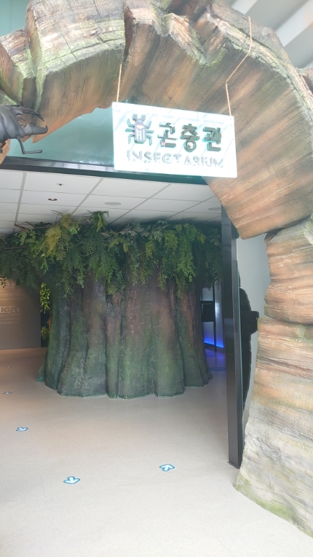 韓国,国立農業博物館,水原 (27)