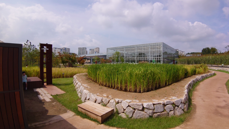 韓国,国立農業博物館,水原 (46)