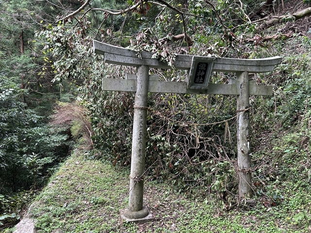 瀧神社　倒木で塞がれるweb