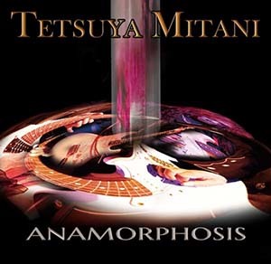 tetsuya_mitani-anamorphosis2.jpg