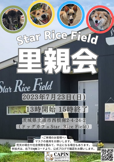 star rice field里親会