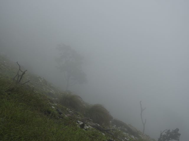 霧(640×480)DSCN3725 (2)