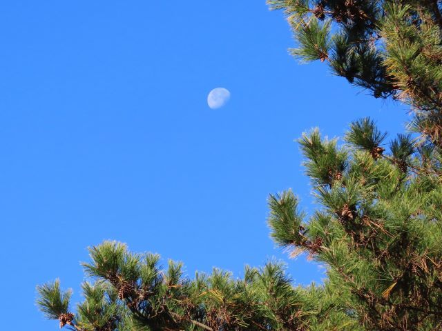 旧19日の月（旧十月）有明の月(640×480)2023-12-02Ｋ会下山IMG_6579 (2)