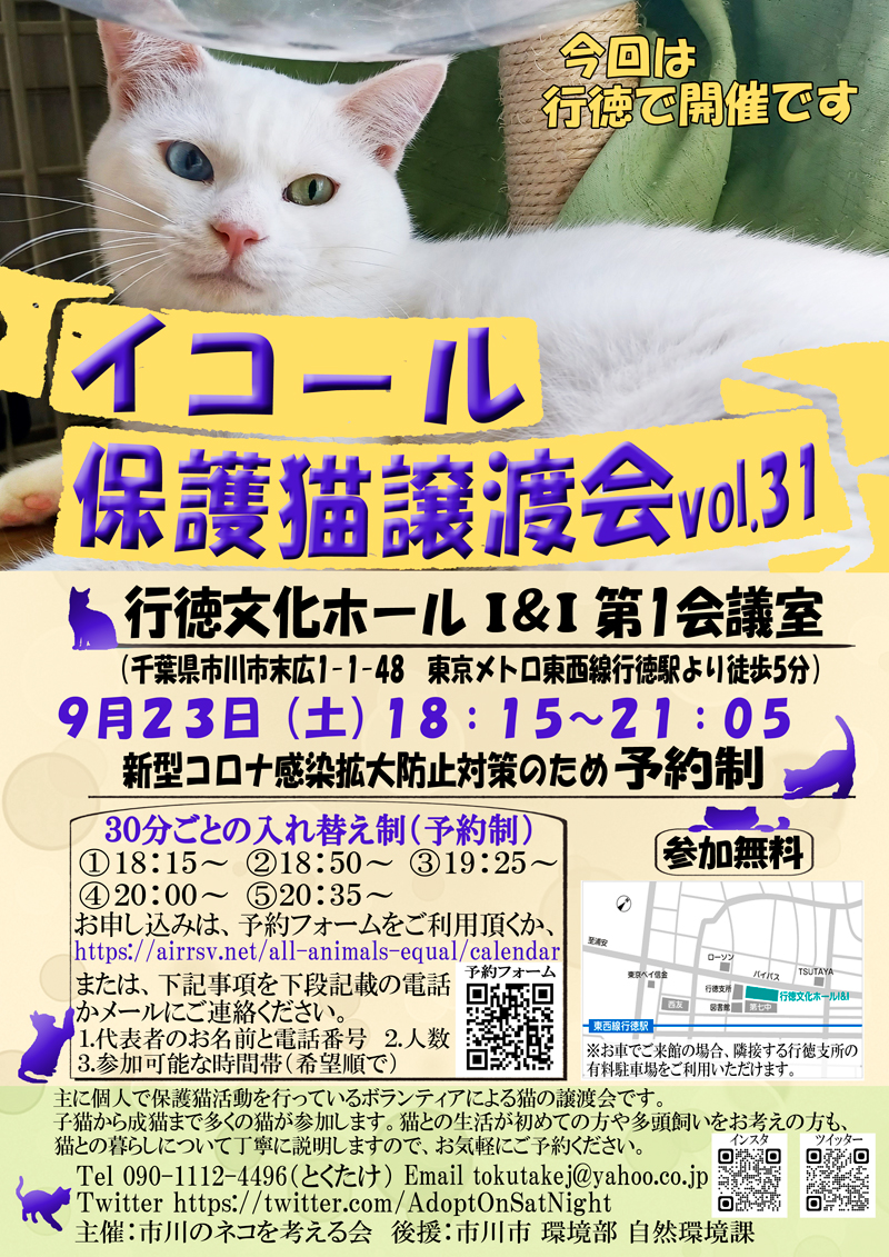 ９月２３日開催：イコール保護猫譲渡会（行徳文化ホール）参加のお知らせ