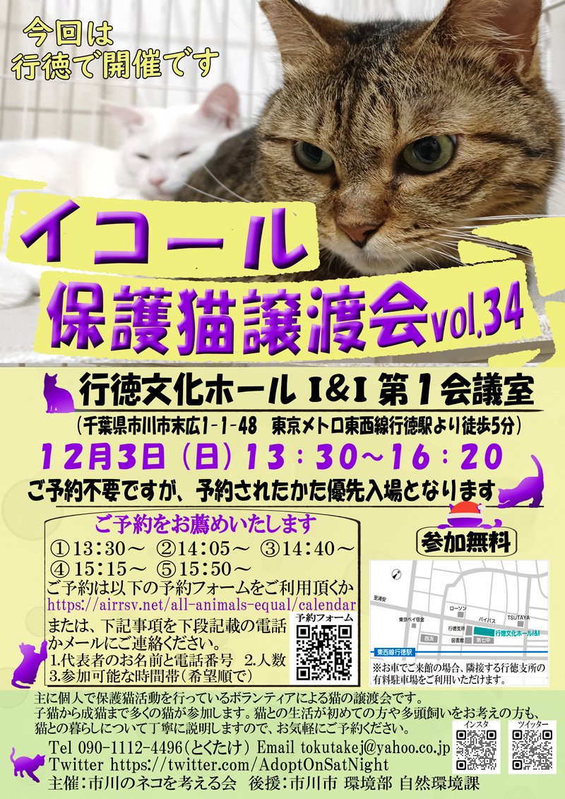 １２月３日開催：イコール保護猫譲渡会（行徳文化ホール）参加のお知らせ