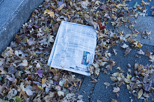 新聞と枯れ葉