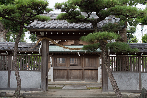 阿豆良神社番塀と松
