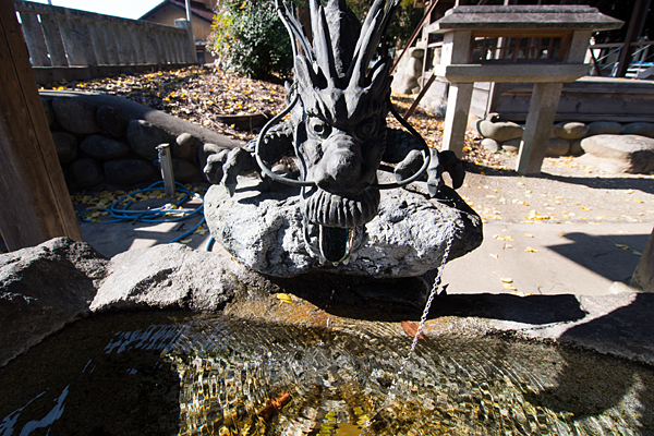 川島神社手水の龍