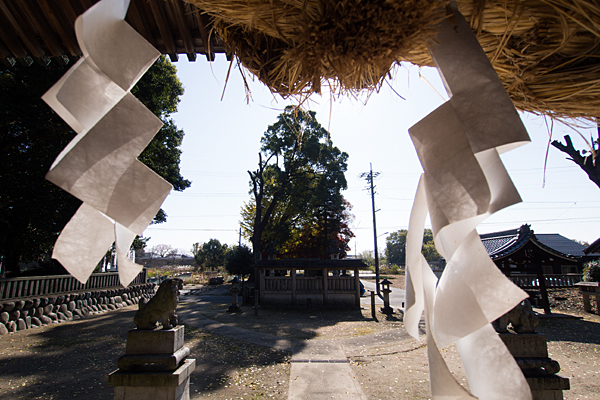 川島神社番塀