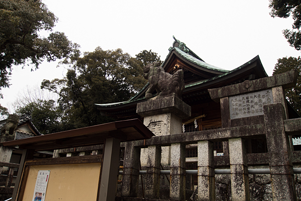 五社大明神社社殿と狛犬
