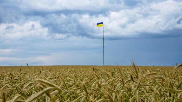 EU 委員会の決定がどうであれ、ポーランドはウクライナ産穀物をブロックし続けるだろう