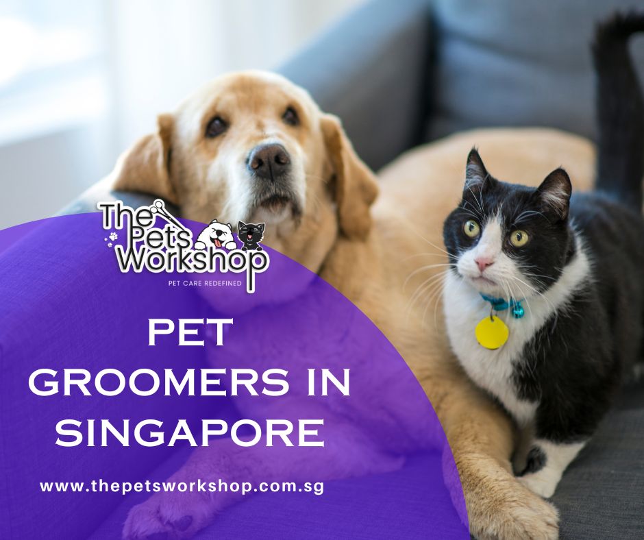 Professional pet groomers Singapore -The Pets Workshop 