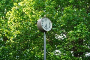 日比谷公園 プラタナスを背景にした健康広場の時計