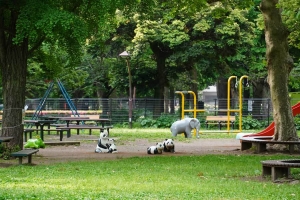 定点撮影 日比谷公園草地広場のゾウとパンダの遊具 2021.5.16