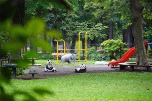 定点撮影 日比谷公園草地広場のゾウとパンダの遊具 2021.5.22