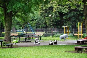 定点撮影 日比谷公園草地広場のゾウとパンダの遊具 2021.5.23