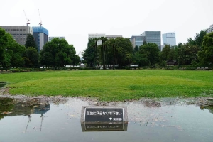 台風２号（マーワー）で冠水した日比谷公園第一花壇広場