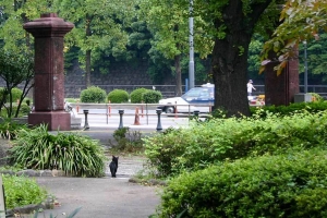 日比谷公園の桜門と後ろ姿の黒猫
