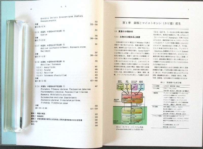 日本専門店 食品のカビ検索図鑑