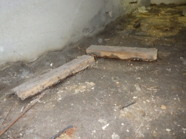 床下の放置木材