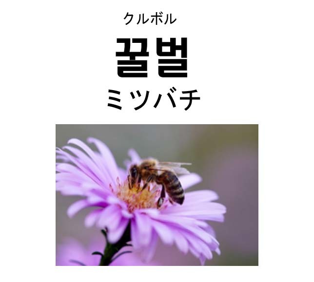 ミツバチのコピー