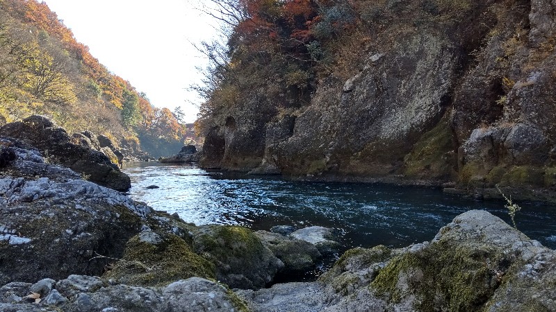高津戸峡⑨遊歩道から河原へ2312