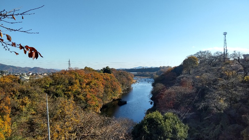 ながめ公園⑦渡良瀬川2312