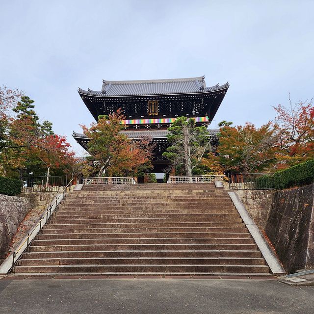 京都植物園2311_15
