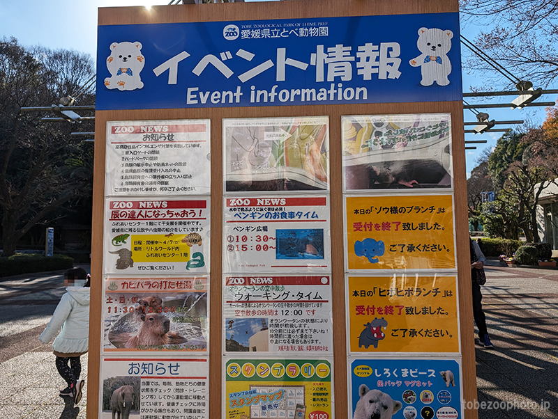 愛媛県立とべ動物園のお正月イベントです。 （2024年1月）