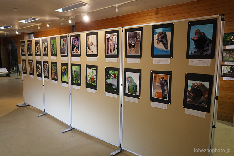 第12回 愛媛県立とべ動物園写真コンクール作品展 (2023年10月31日～)