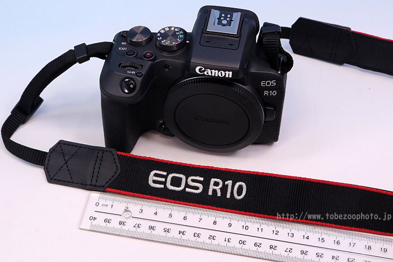 Canon EOS R10 のカメラレビュー