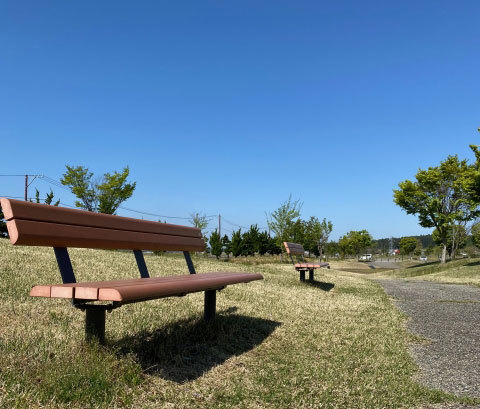 晴れの日の公園のベンチ