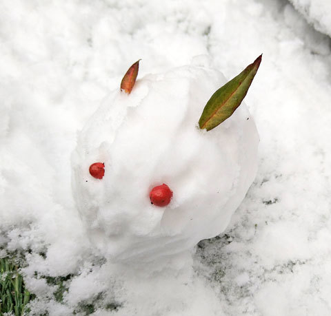 雪で作った兎